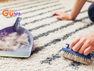 Bí Quyết Cách Giặt Thảm Lông Ngay Tại Nhà Chỉ Với 4 Bước