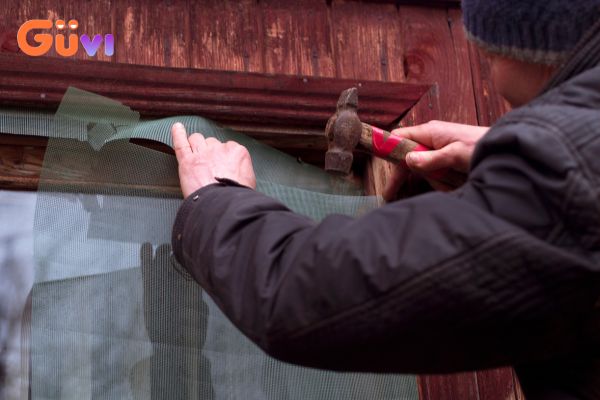 Cách đuổi kiến ba khoang bằng cách lắp lưới