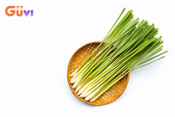 Sả cũng có thể hạn chế côn trùng như kiến ba khoang