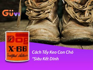 5 Cach Tay Keo Con Cho Sieu Ket Dinh