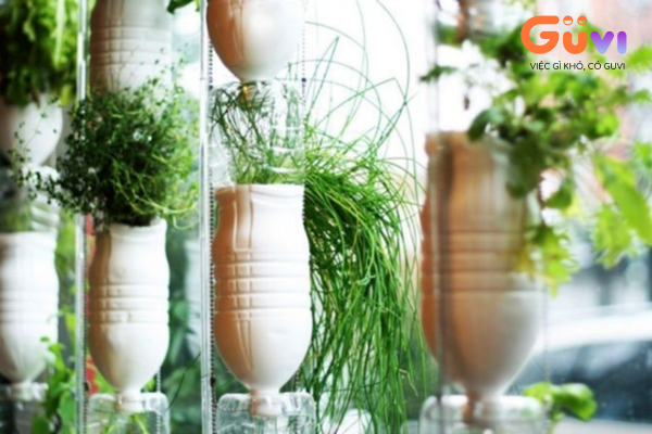 Treo chai ở cửa sổ